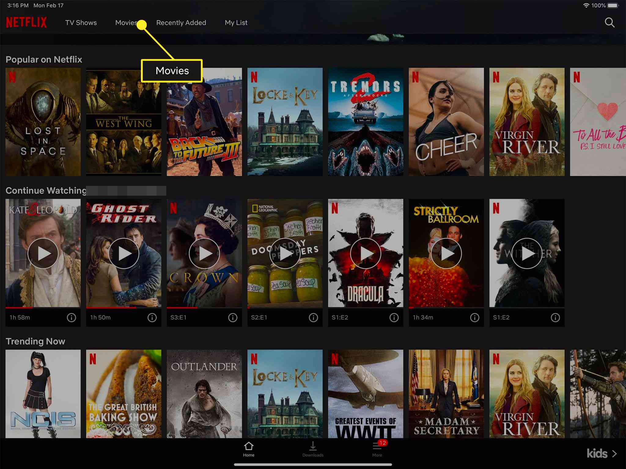 Can You Download Netflix Films Onto Mac